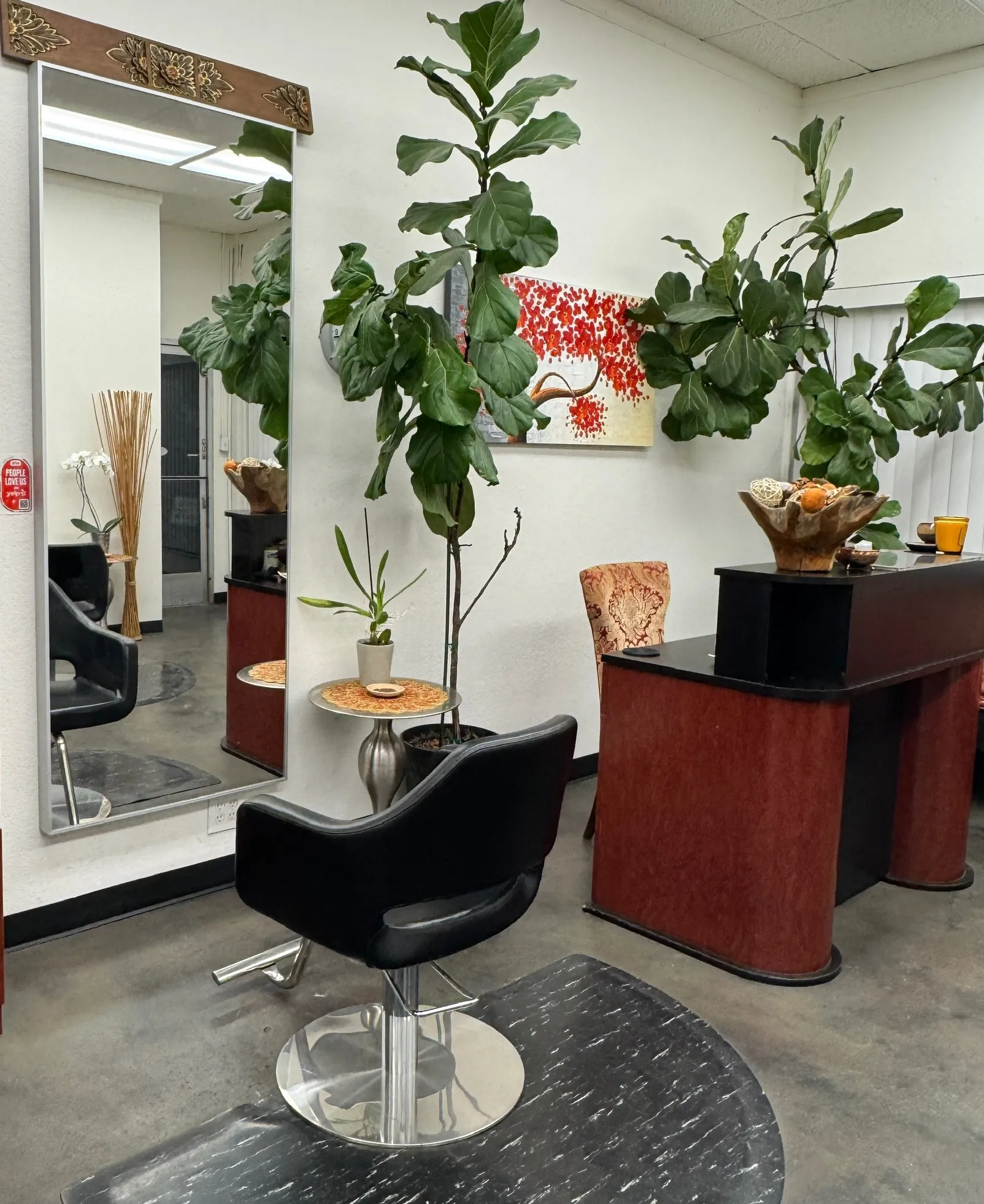Organic Color Salon